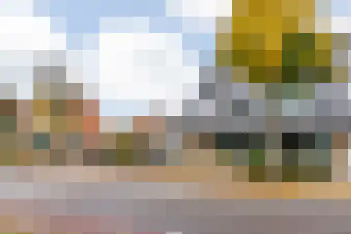 Schaerweijdelaan 113 Zeist thumbnail 43