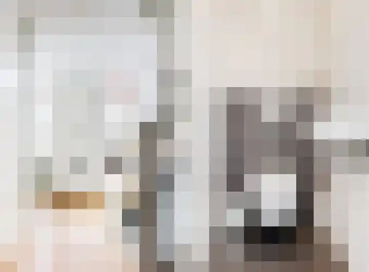 Schaerweijdelaan 113 Zeist thumbnail 5