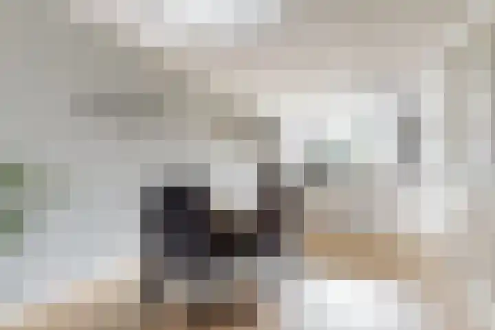 Schaerweijdelaan 113 Zeist thumbnail 9