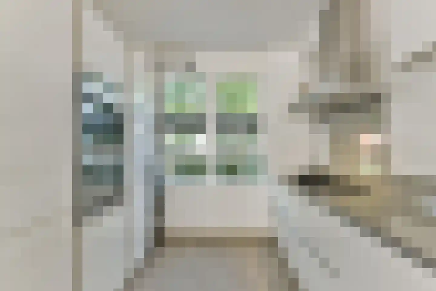 Schaerweijdelaan 88 Zeist thumbnail 16