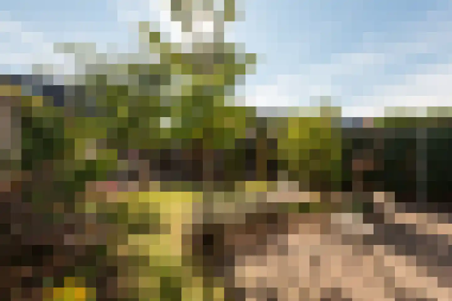 Schaerweijdelaan 88 Zeist thumbnail 23