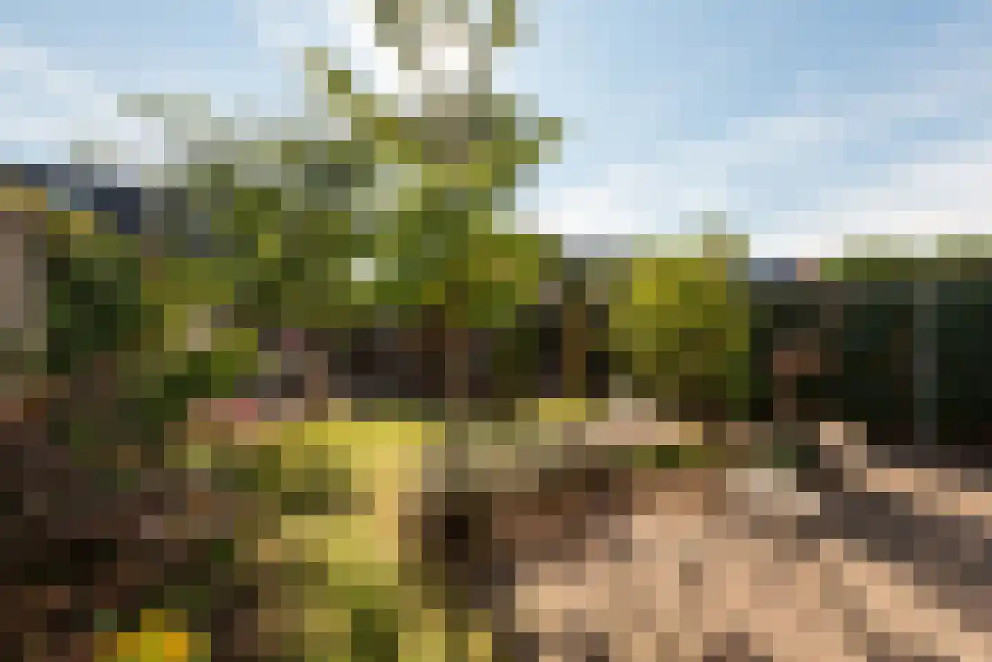 Schaerweijdelaan 88 Zeist thumbnail 23