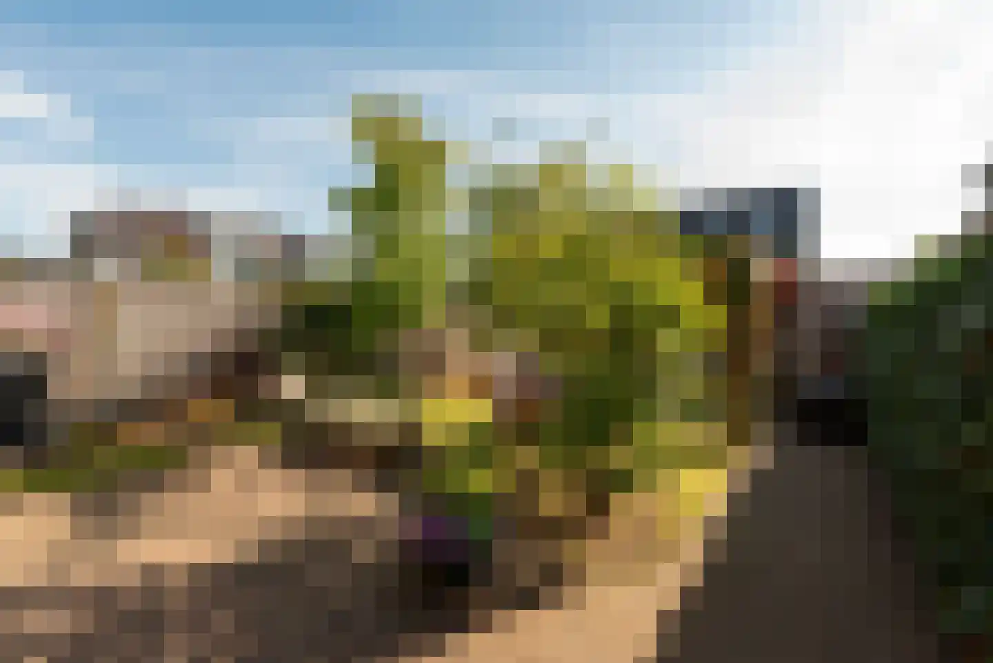 Schaerweijdelaan 88 Zeist thumbnail 24