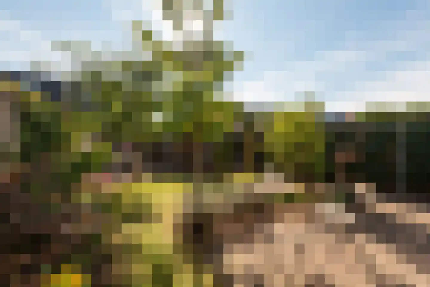 Schaerweijdelaan 88 Zeist thumbnail 4