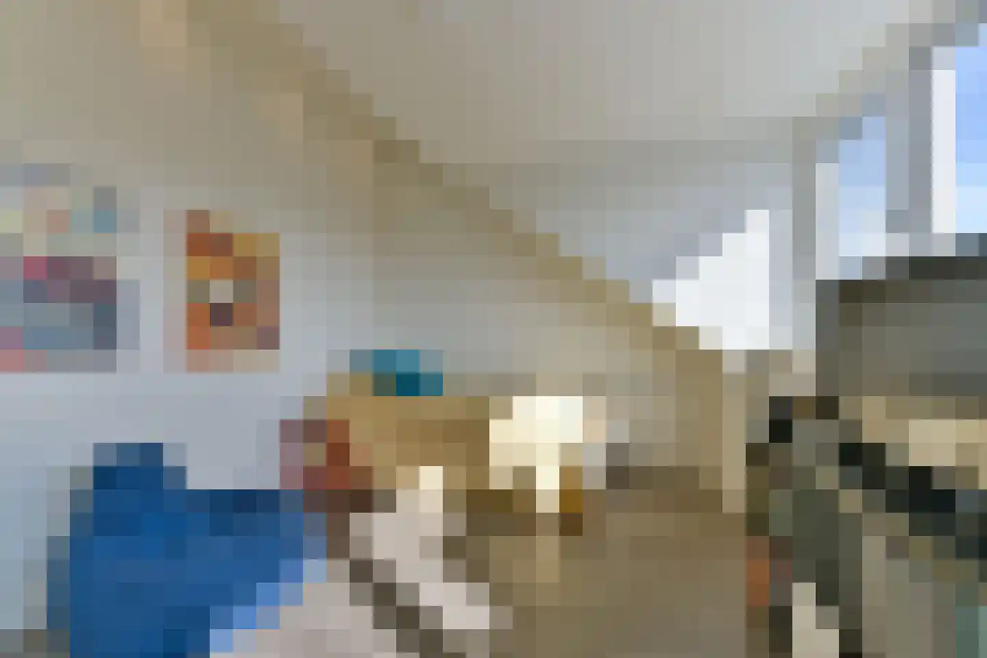Schaerweijdelaan 88 Zeist thumbnail 43