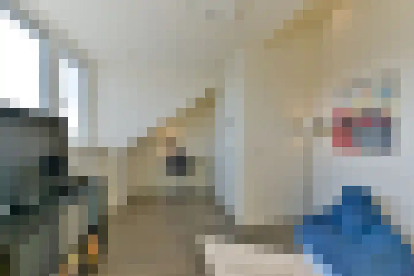 Schaerweijdelaan 88 Zeist thumbnail 45