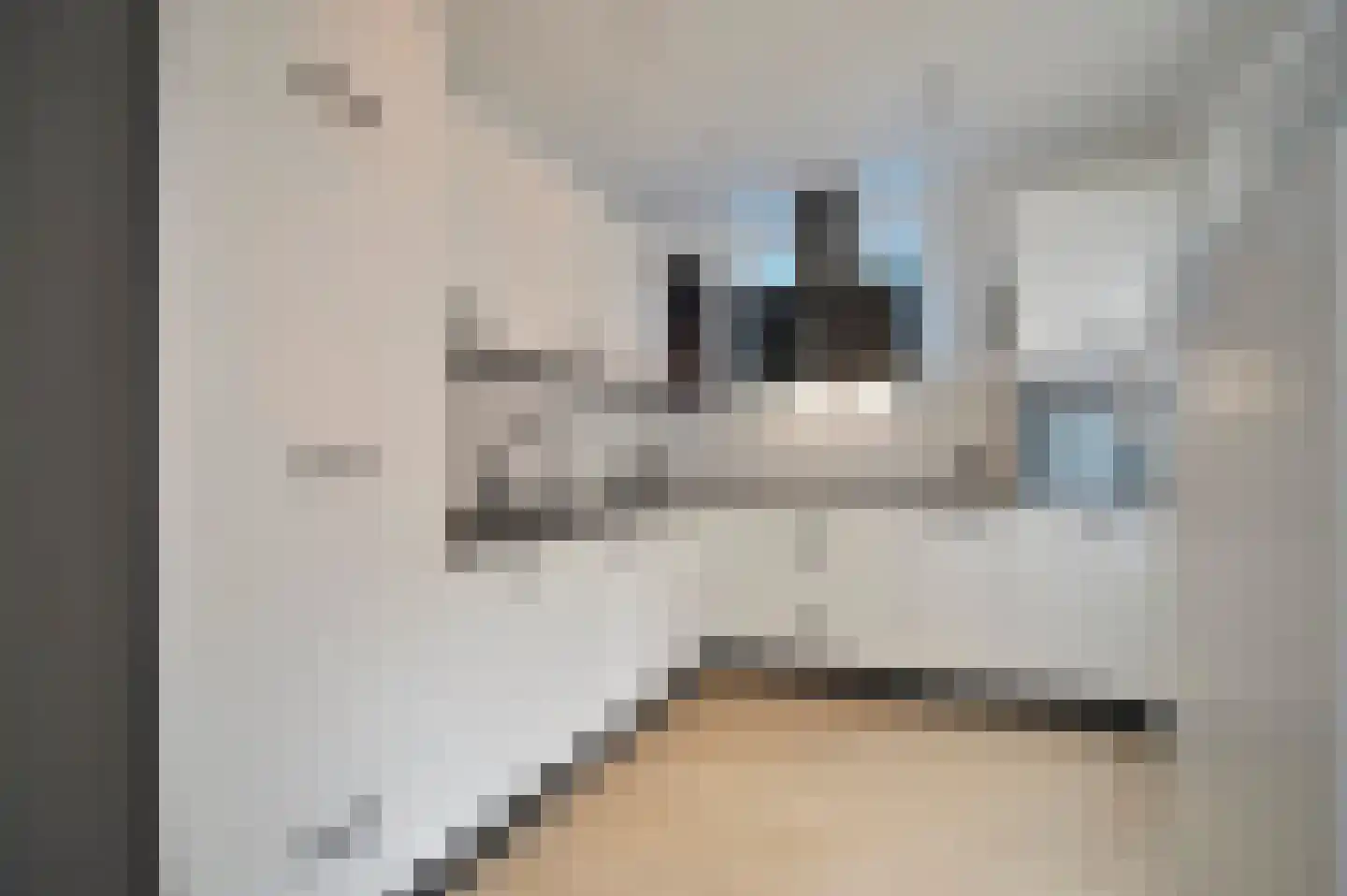 Schaesbergerstraat 114 Kerkrade thumbnail 20