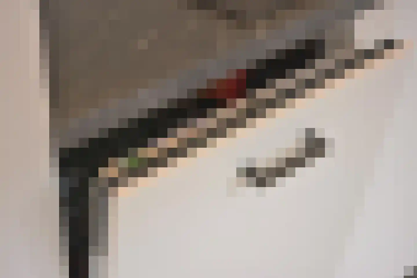 Schaesbergerstraat 114 Kerkrade thumbnail 24