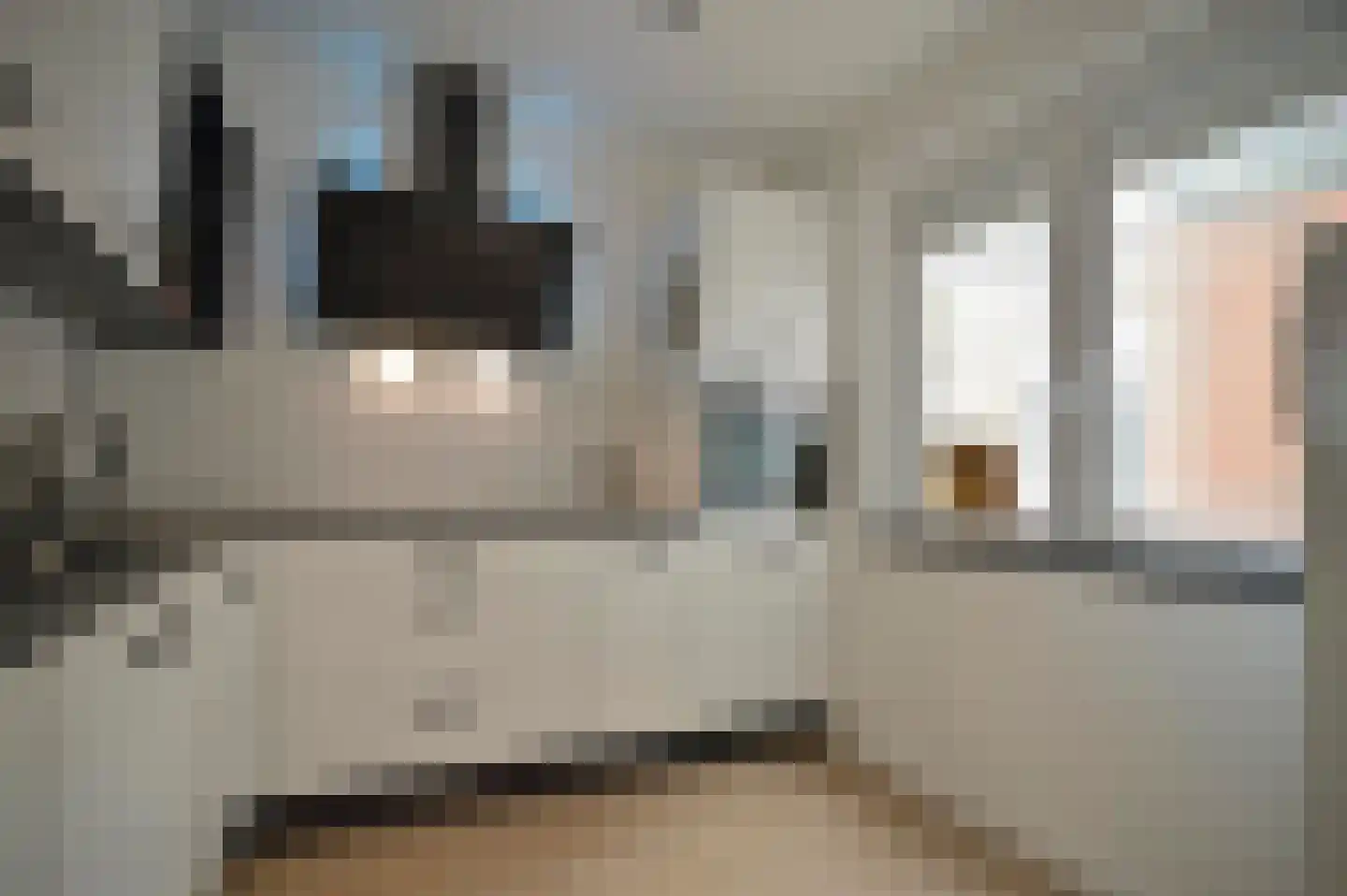 Schaesbergerstraat 114 Kerkrade thumbnail 26