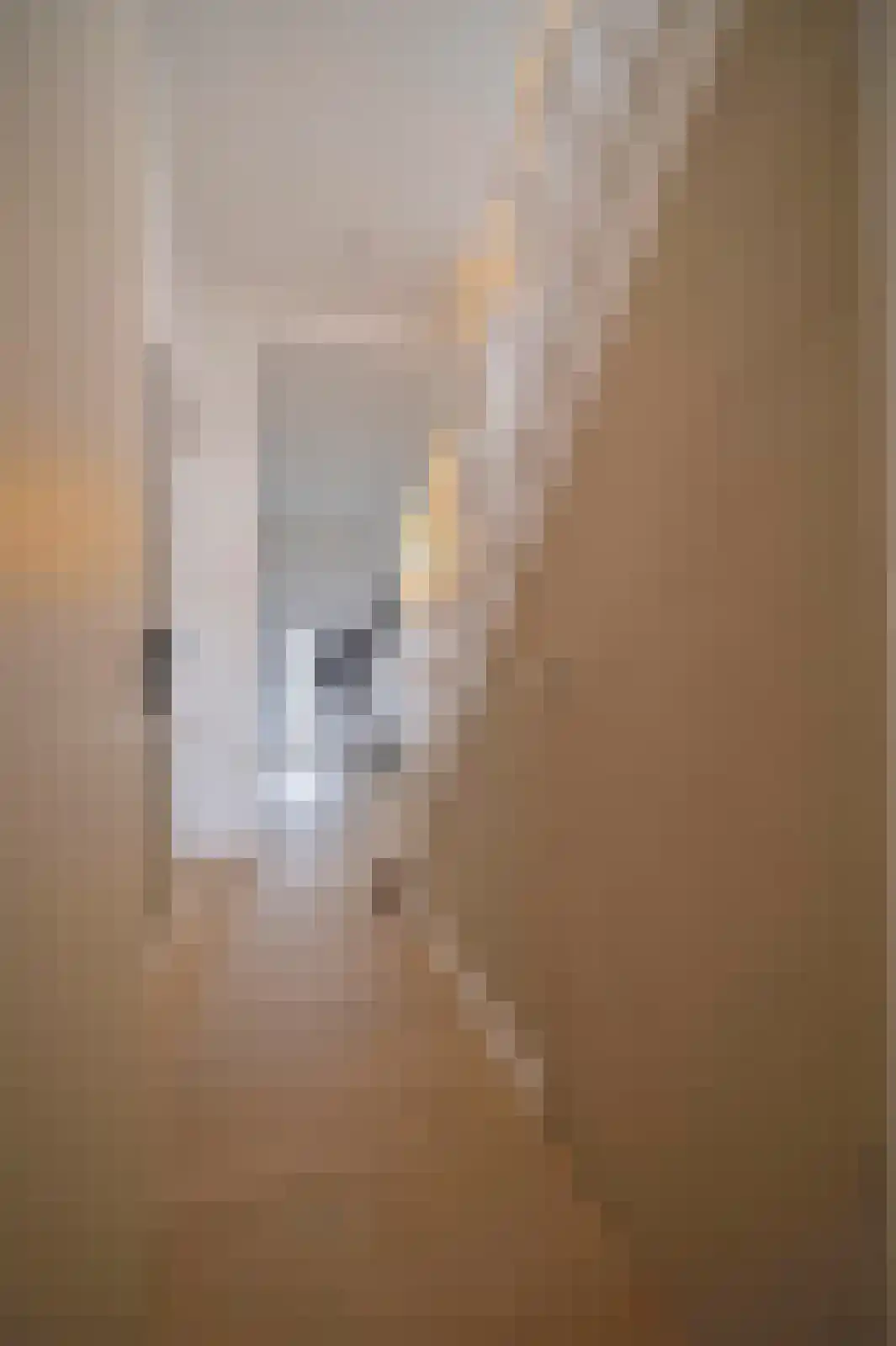 Schaesbergerstraat 114 Kerkrade thumbnail 34
