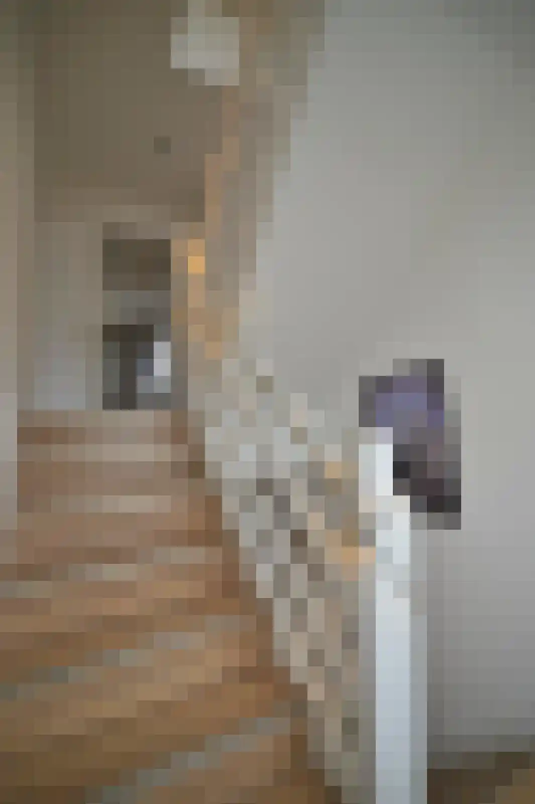 Schaesbergerstraat 114 Kerkrade thumbnail 36