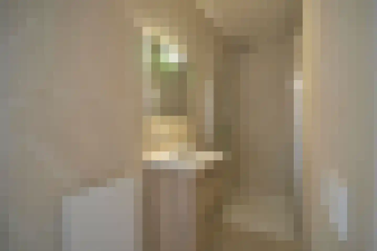 Schaesbergerstraat 114 Kerkrade thumbnail 56