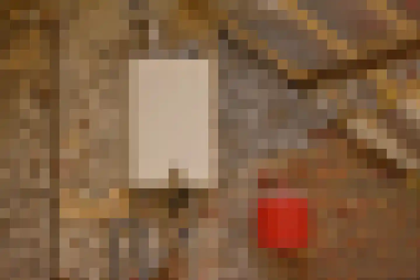 Schaesbergerstraat 114 Kerkrade thumbnail 61