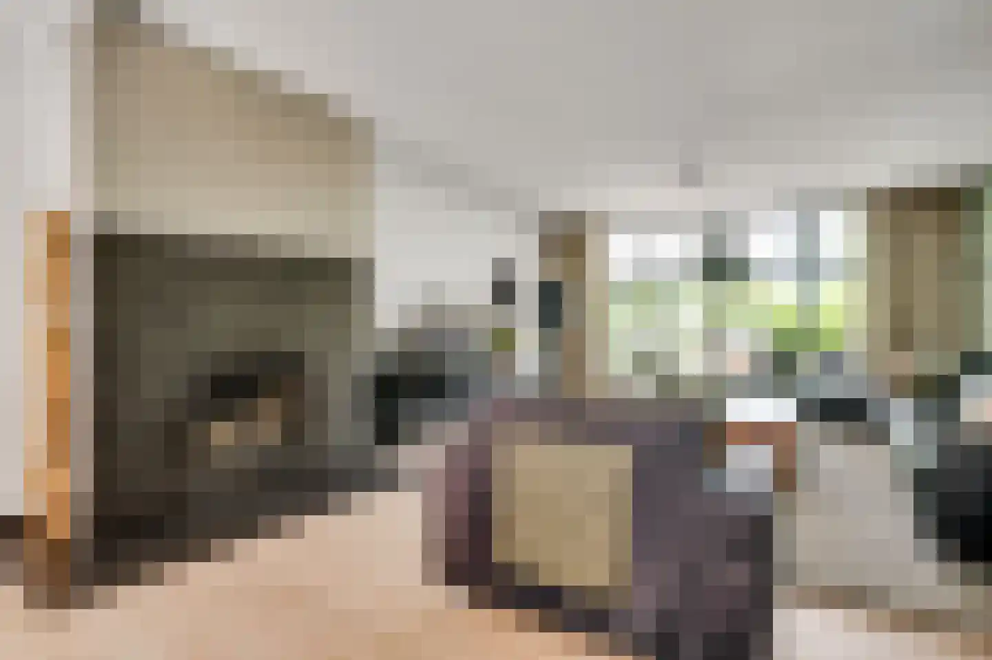 Schaesbergerstraat 46 Kerkrade thumbnail 12