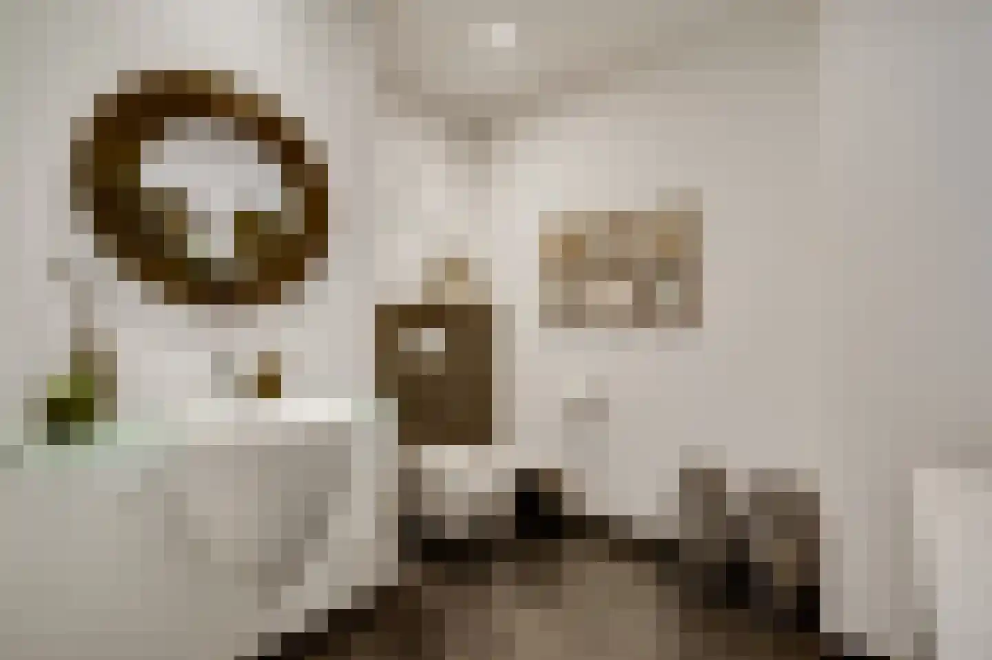 Schaesbergerstraat 46 Kerkrade thumbnail 14