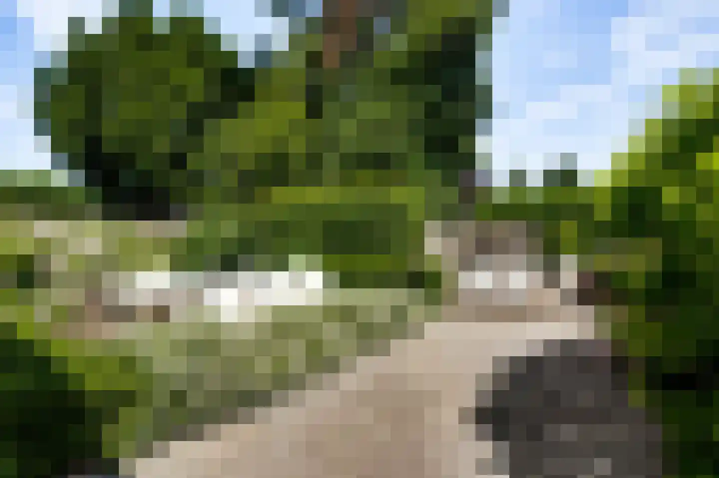 Schaesbergerstraat 46 Kerkrade thumbnail 20