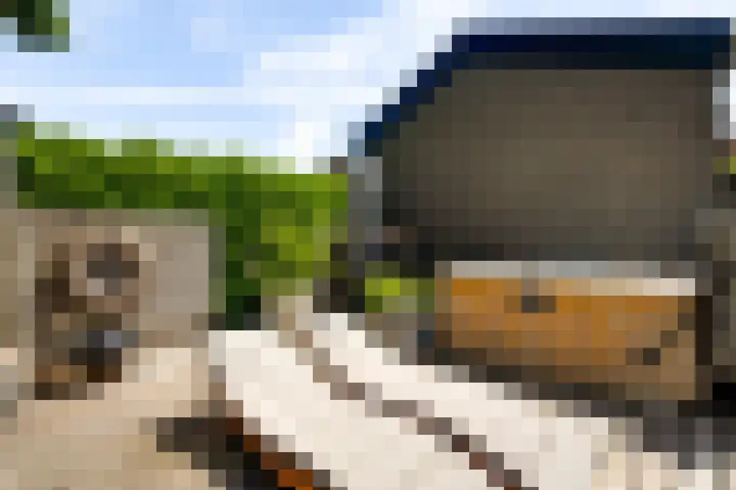 Schaesbergerstraat 46 Kerkrade thumbnail 21