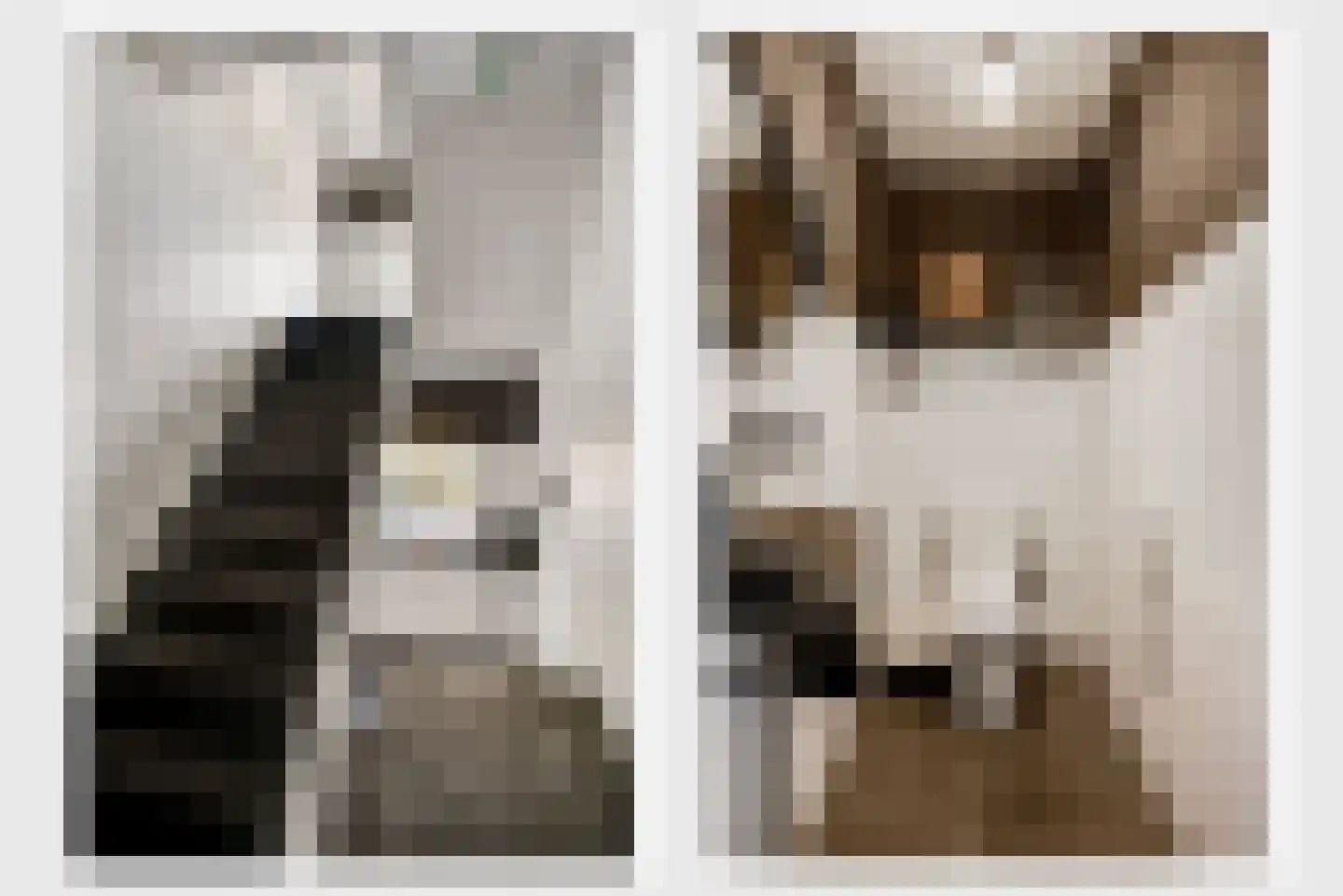 Schaesbergerstraat 46 Kerkrade thumbnail 23