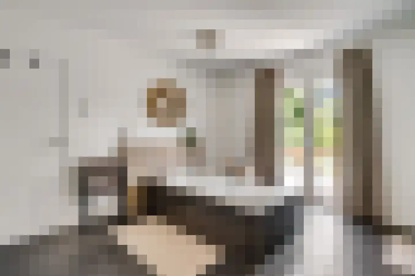 Schaesbergerstraat 46 Kerkrade thumbnail 26