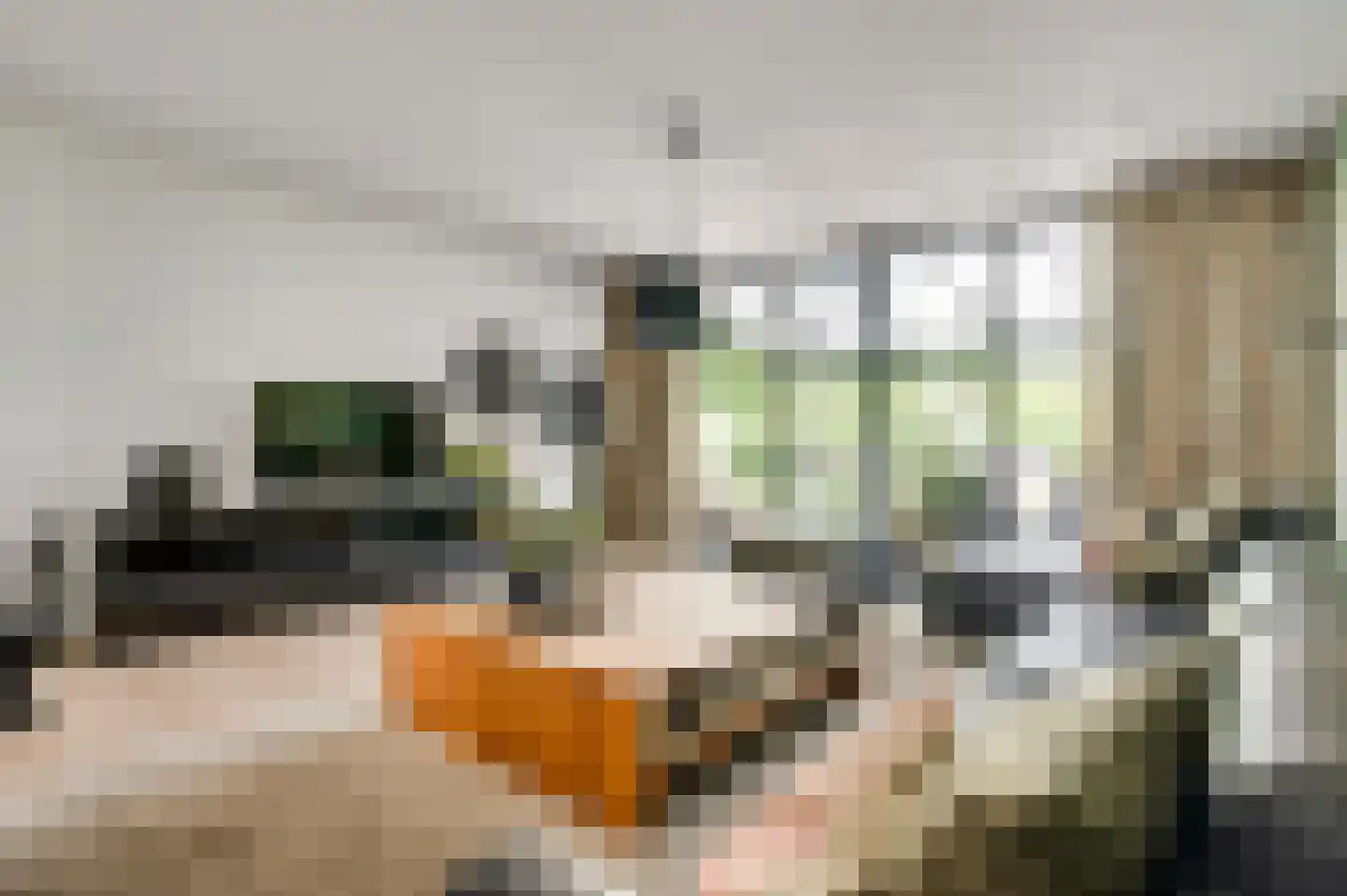 Schaesbergerstraat 46 Kerkrade thumbnail 6