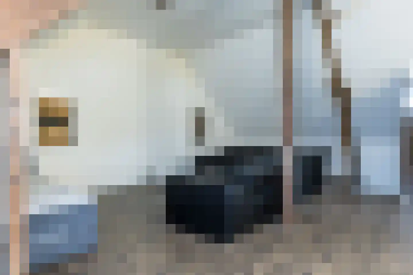 Schaesbergerstraat 87 Kerkrade thumbnail 33