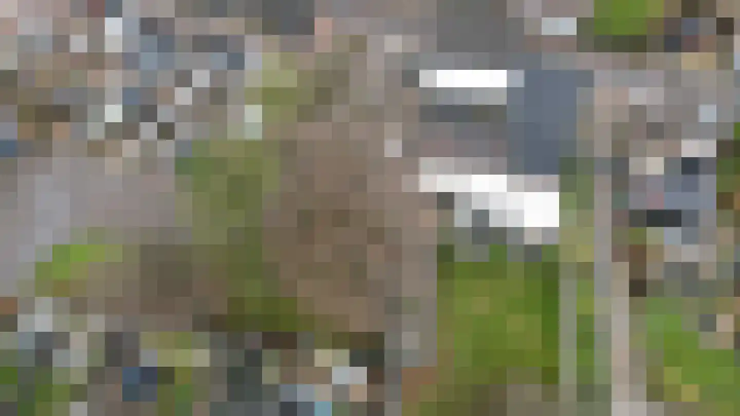 Schaesbergerstraat 87 Kerkrade thumbnail 49