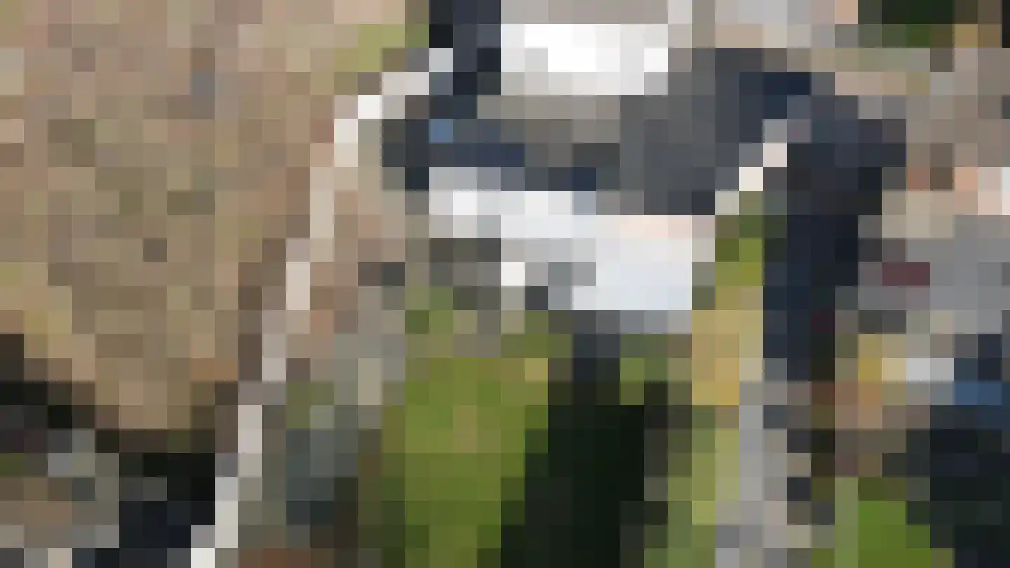 Schaesbergerstraat 87 Kerkrade thumbnail 50