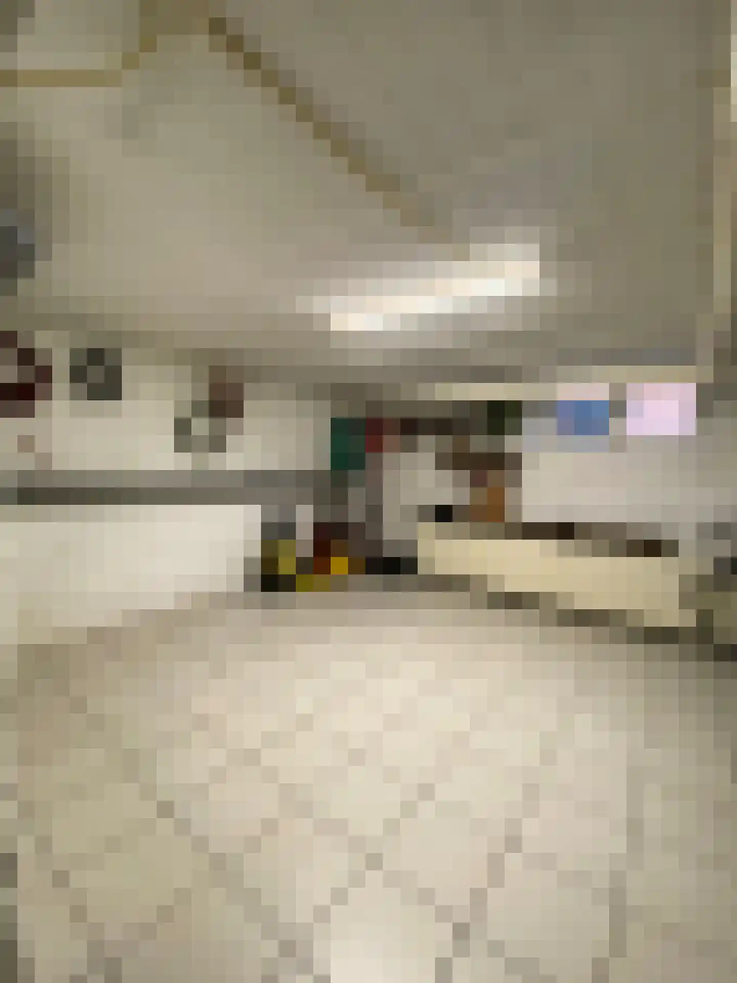 Schaesbergerweg 159 Heerlen thumbnail 32