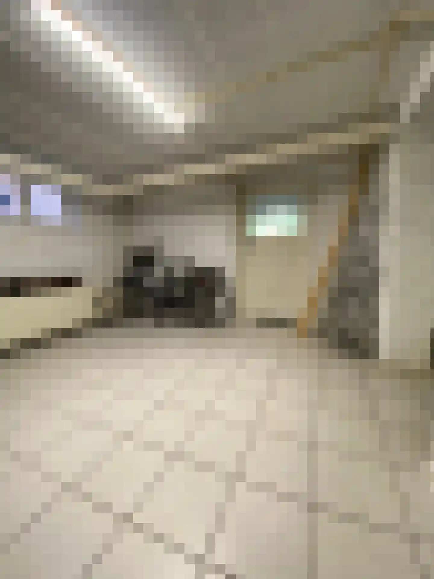 Schaesbergerweg 159 Heerlen thumbnail 33