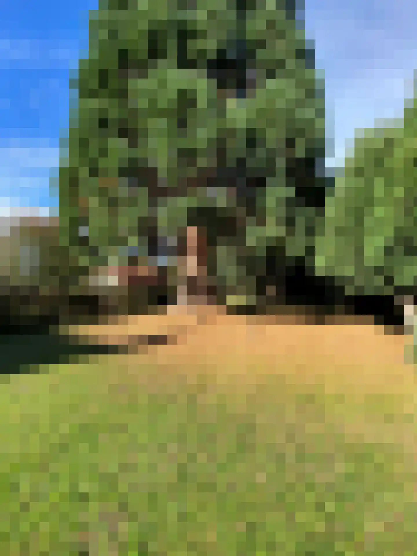 Schaesbergerweg 159 Heerlen thumbnail 38