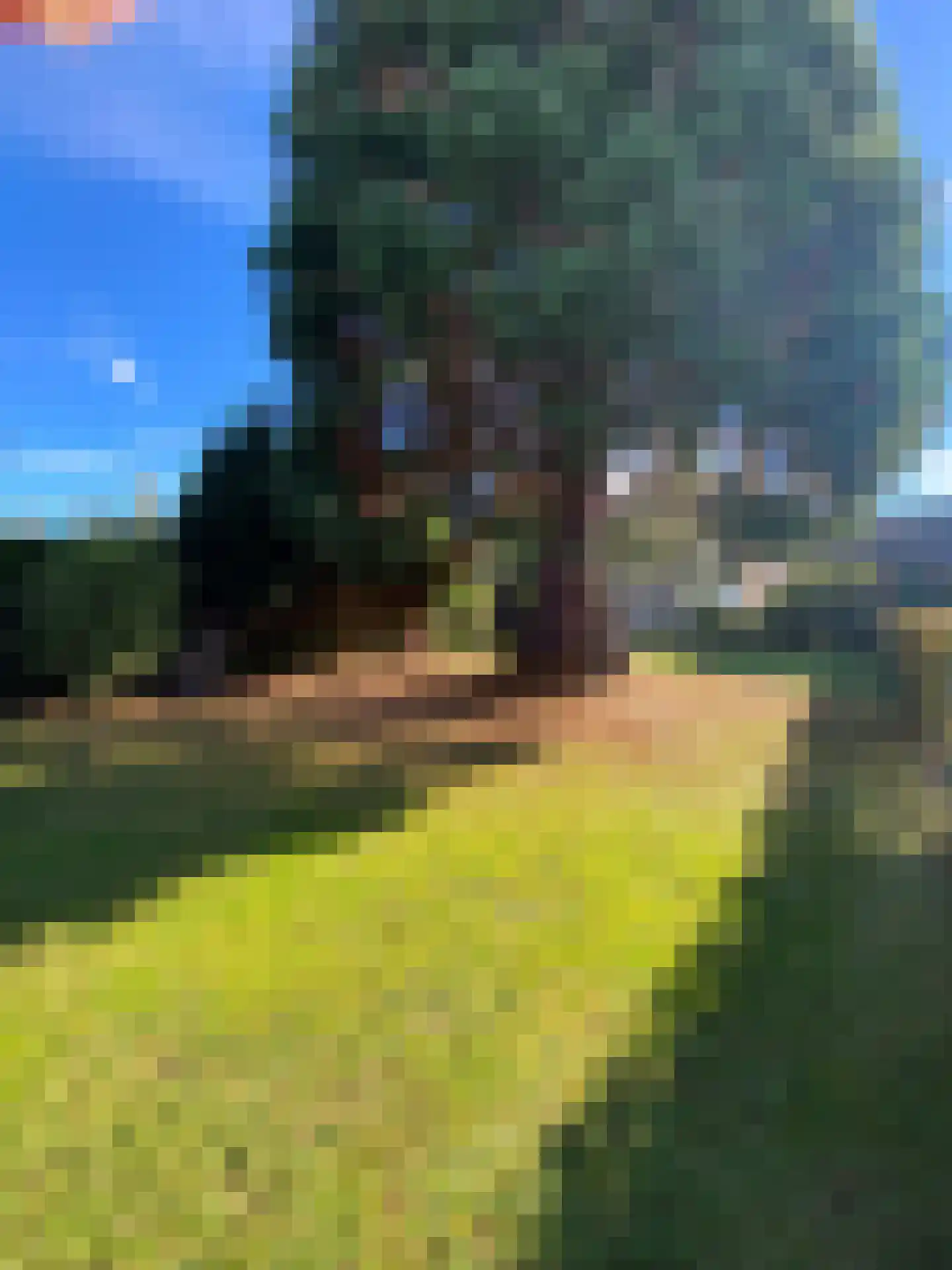 Schaesbergerweg 159 Heerlen thumbnail 39
