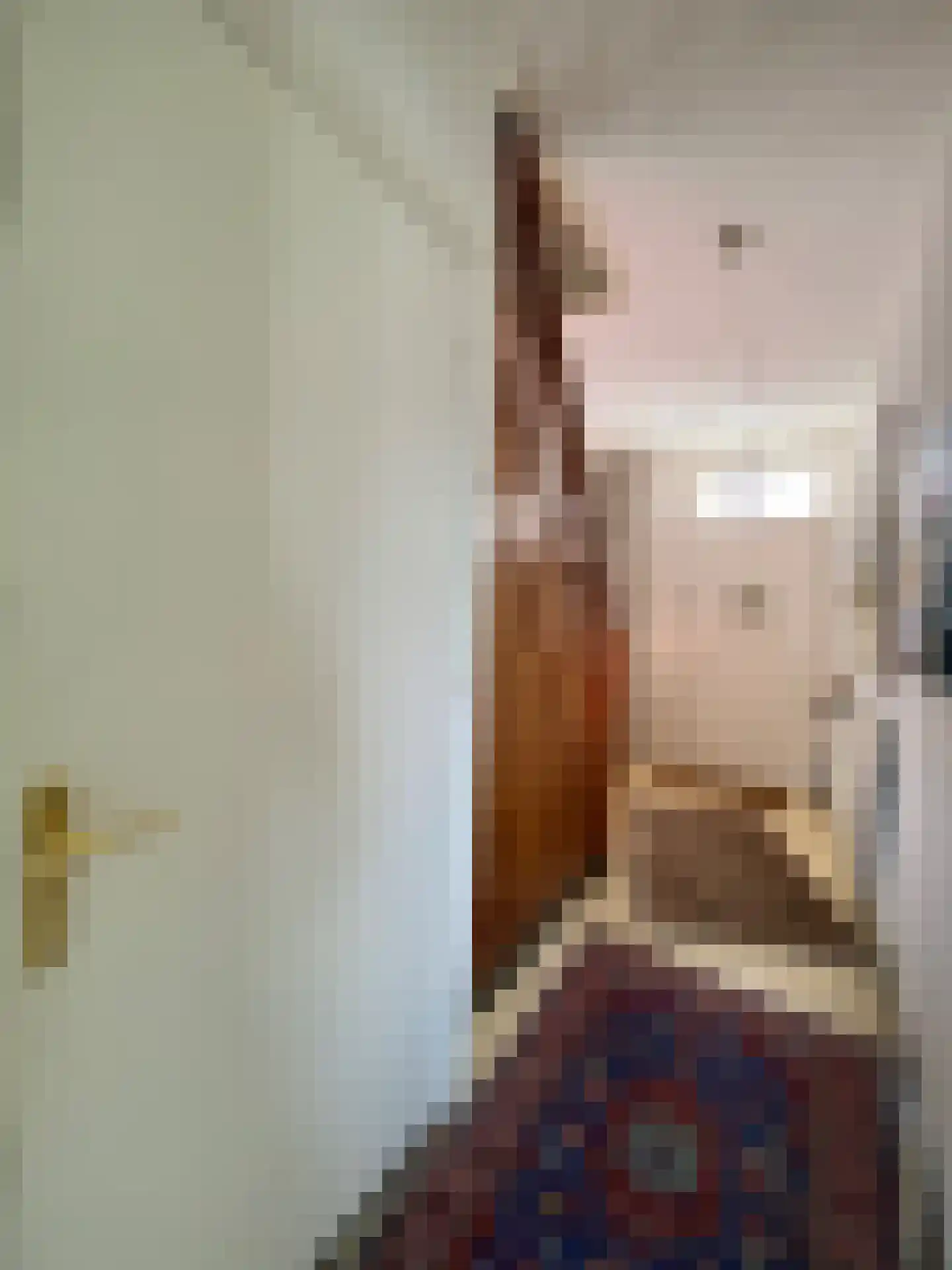 Schaesbergerweg 159 Heerlen thumbnail 4