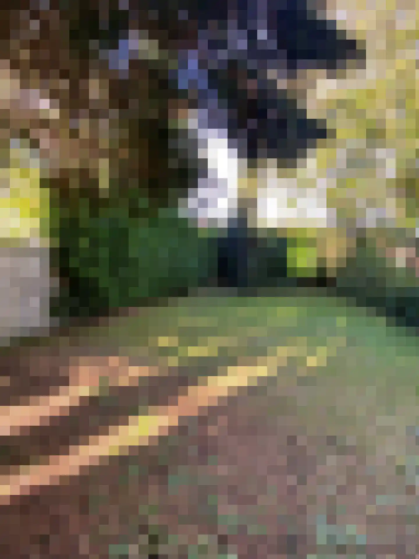 Schaesbergerweg 159 Heerlen thumbnail 41