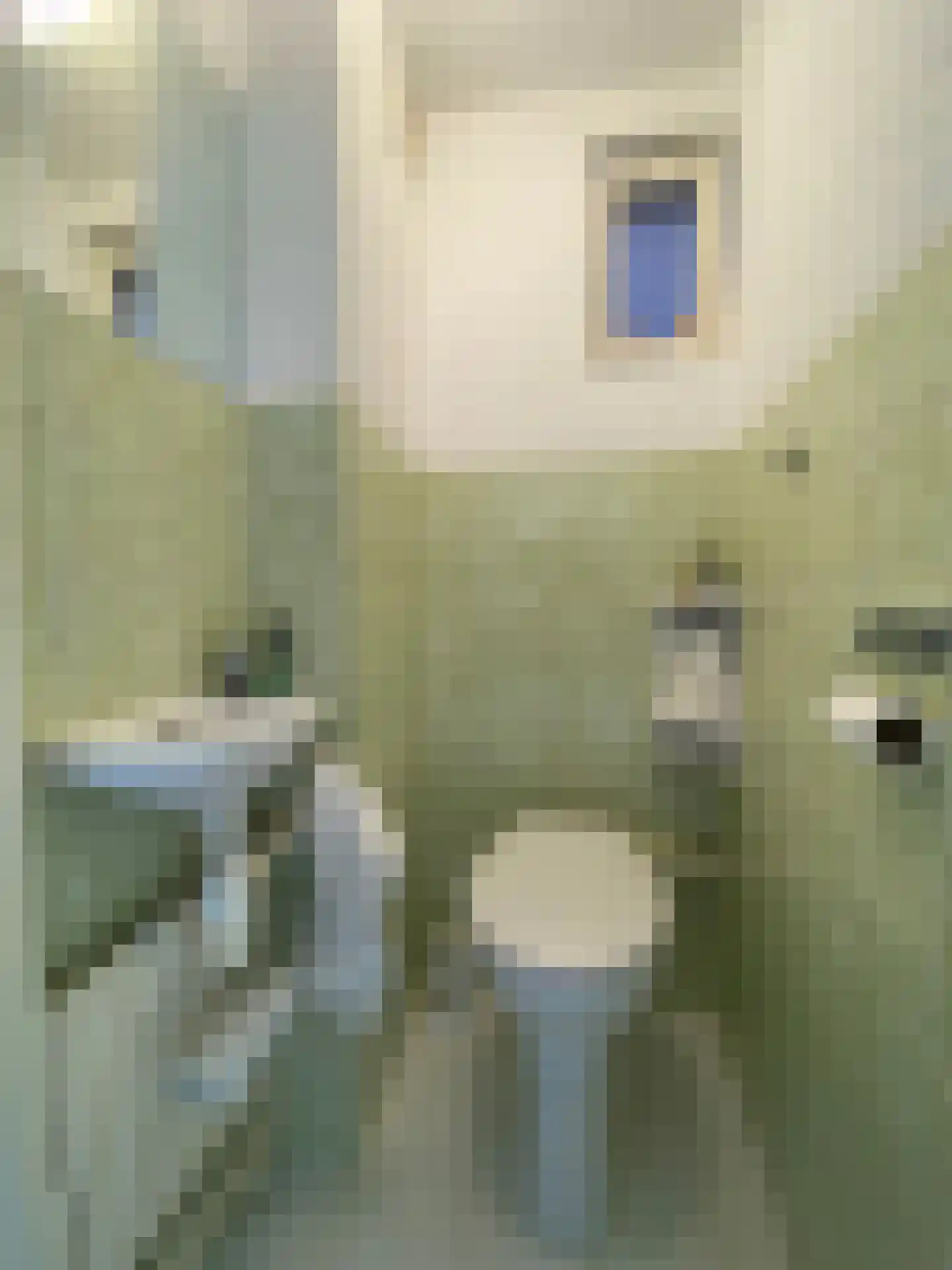 Schaesbergerweg 159 Heerlen thumbnail 5