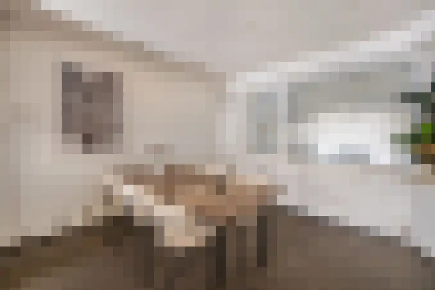 Schaesbergerweg 172 Heerlen thumbnail 17