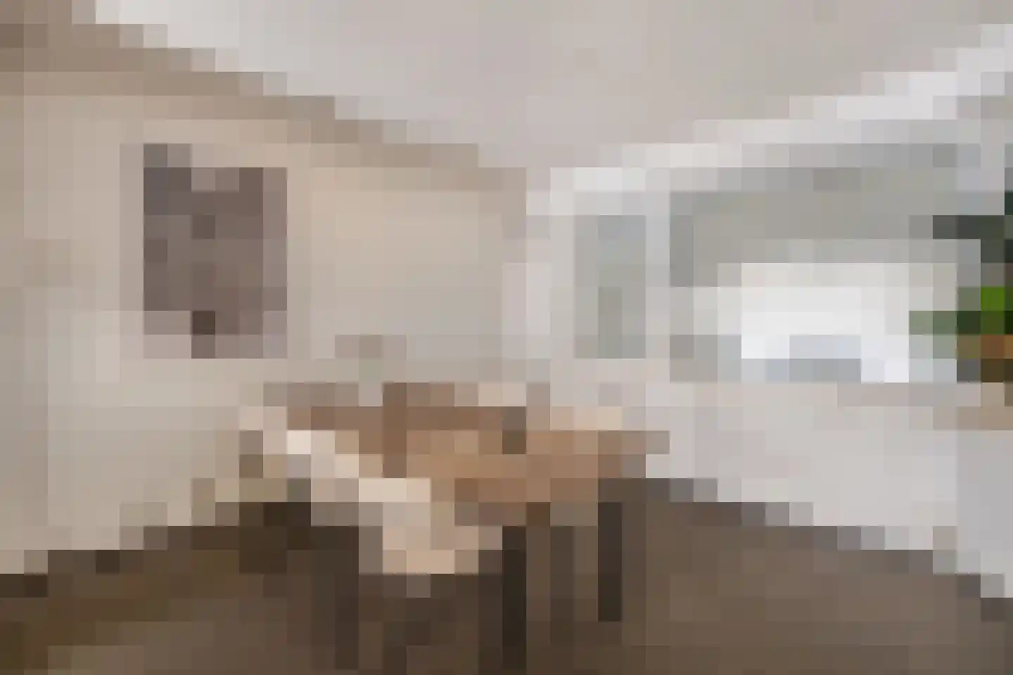 Schaesbergerweg 172 Heerlen thumbnail 17