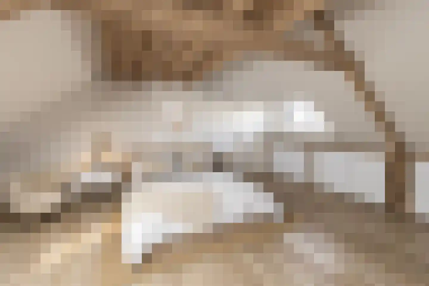 Schaesbergerweg 172 Heerlen thumbnail 35