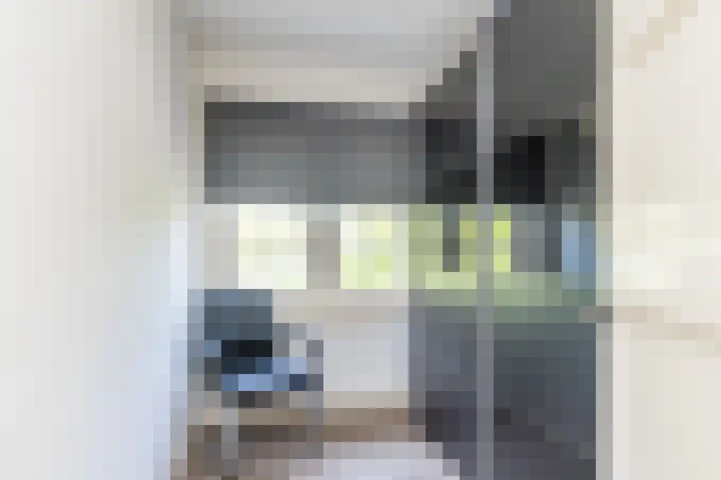 Schaesbergerweg 2 Heerlen thumbnail 39