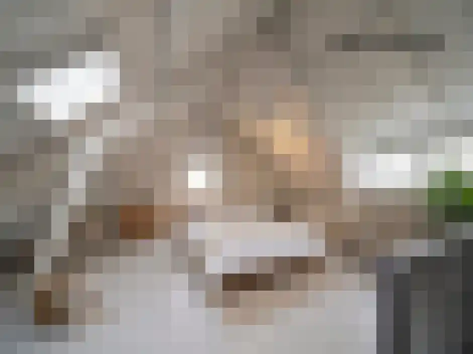 Schaesbergerweg 2 Heerlen thumbnail 43