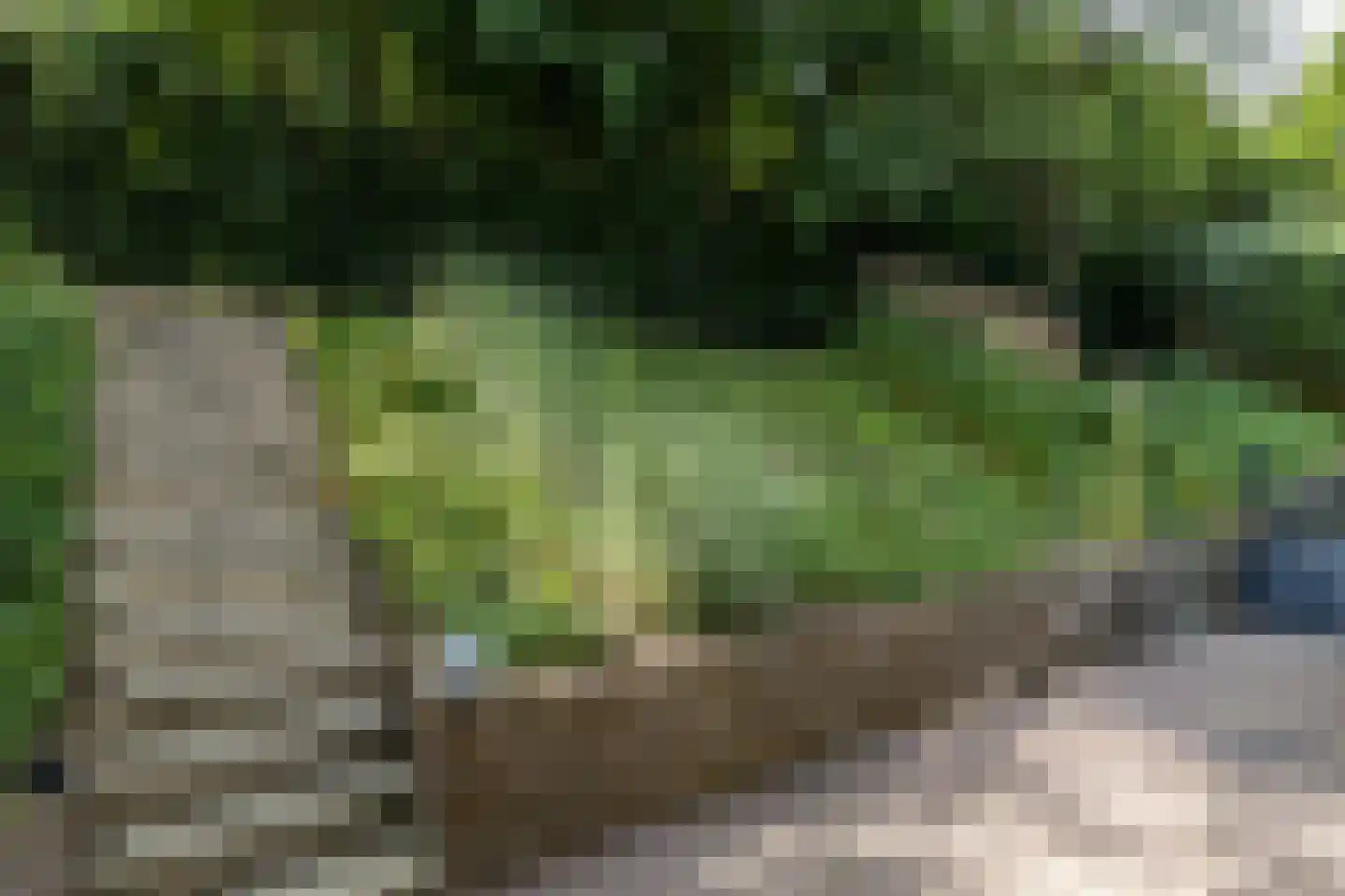 Schaesbergerweg 2 Heerlen thumbnail 45