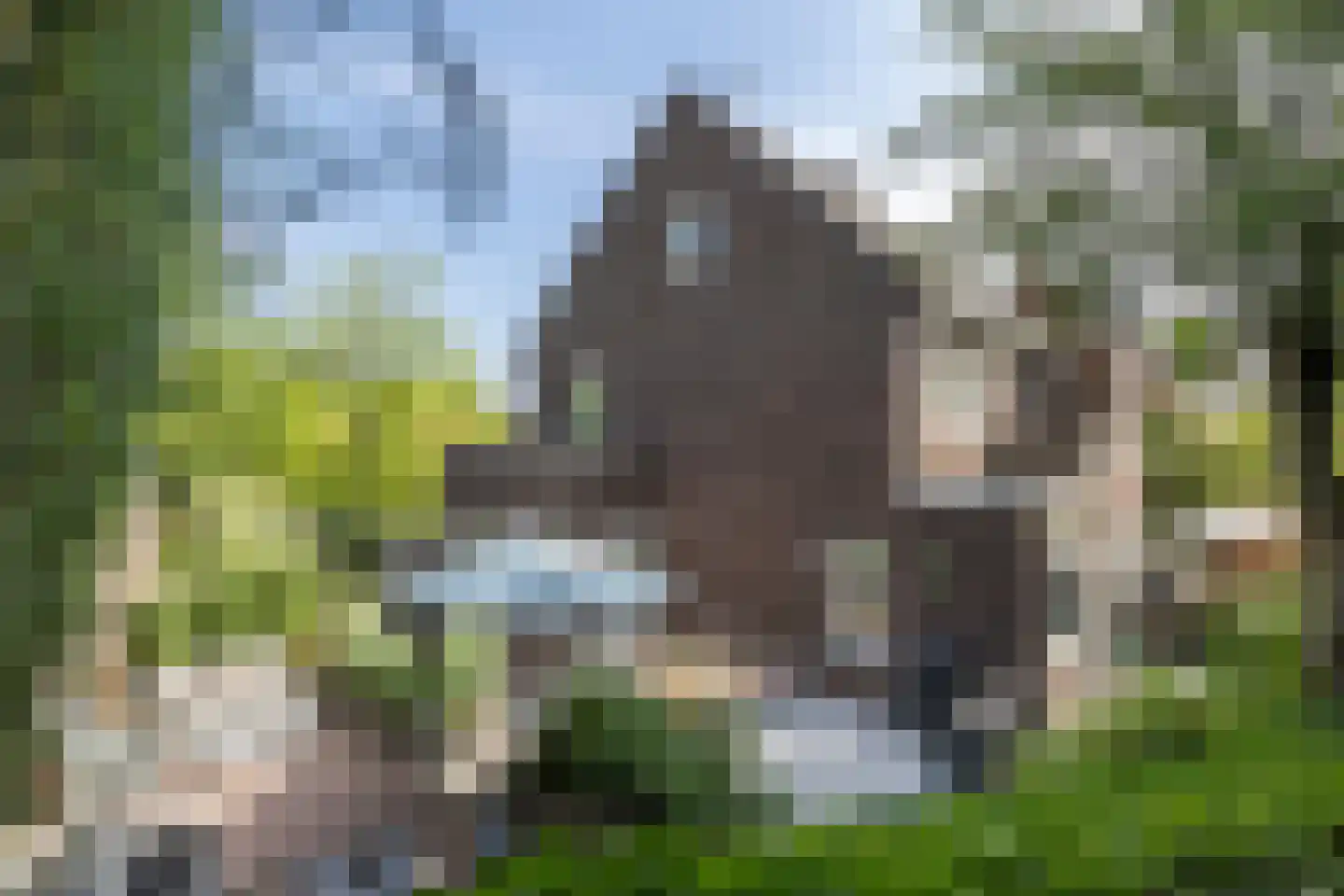 Schaesbergerweg 2 Heerlen thumbnail 48