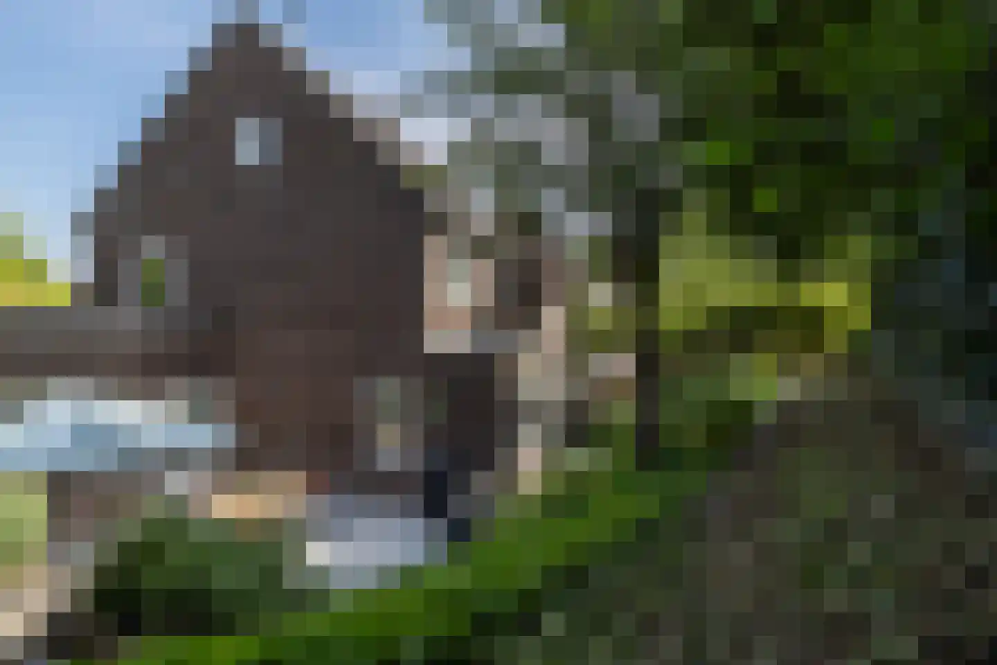 Schaesbergerweg 2 Heerlen thumbnail 49