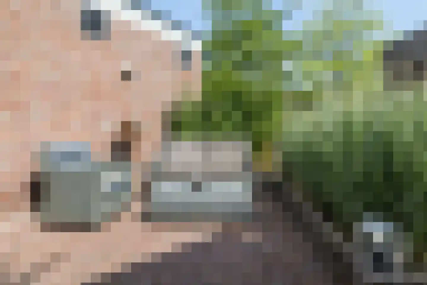 Schaesbergerweg 2 Heerlen thumbnail 50