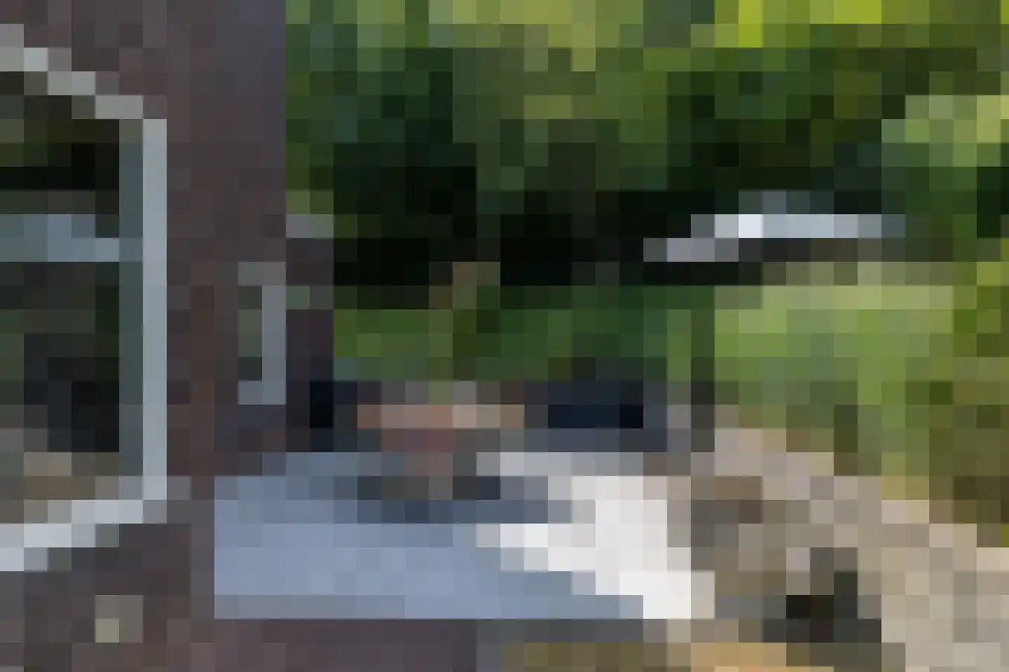 Schaesbergerweg 2 Heerlen thumbnail 52
