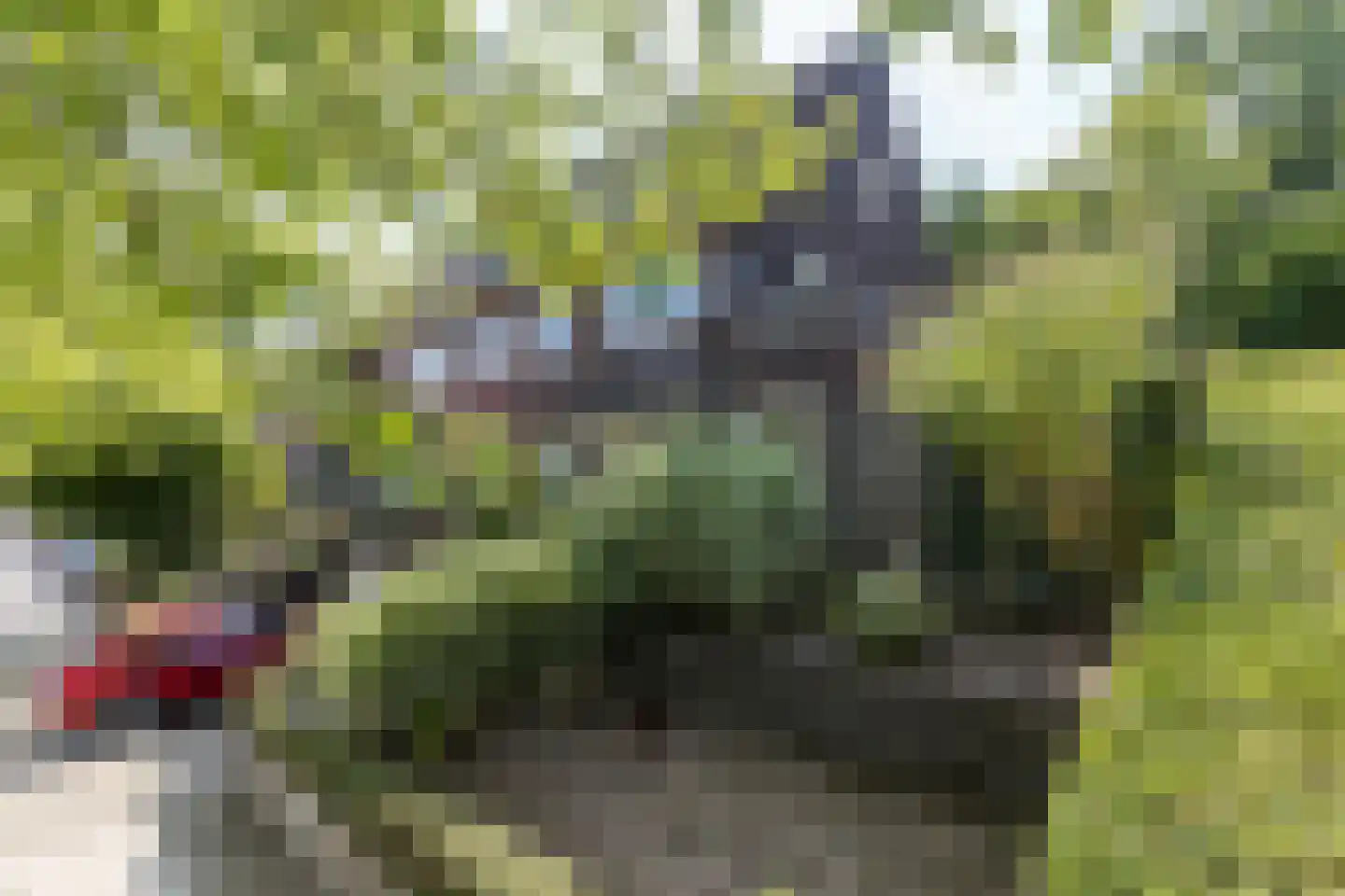 Schaesbergerweg 2 Heerlen thumbnail 65