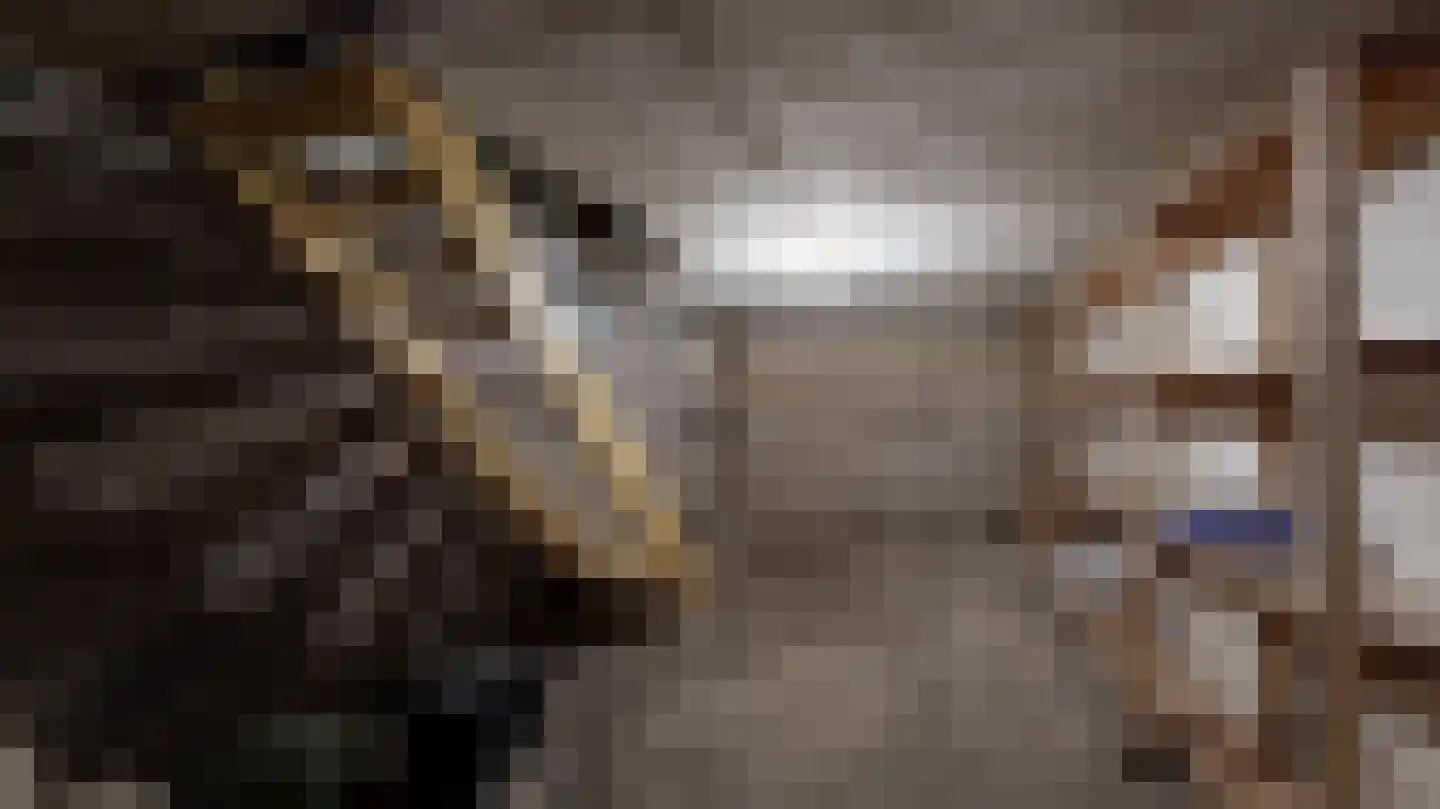 Schaesbergerweg 32 Heerlen thumbnail 40