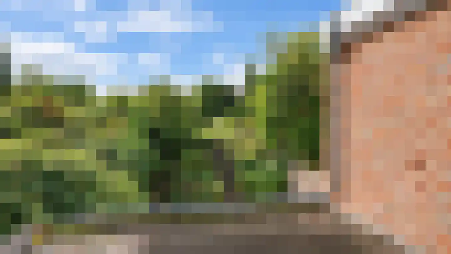 Schaesbergerweg 32 Heerlen thumbnail 42