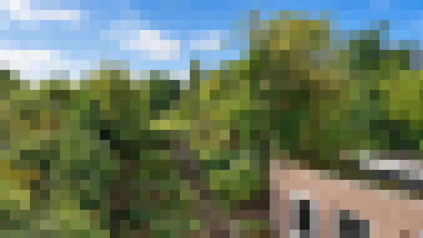 Schaesbergerweg 32 Heerlen thumbnail 43