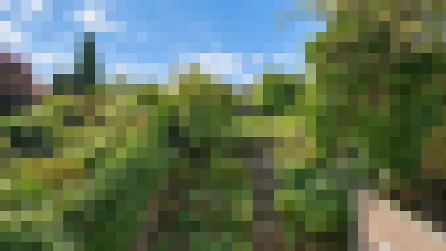 Schaesbergerweg 32 Heerlen thumbnail 44