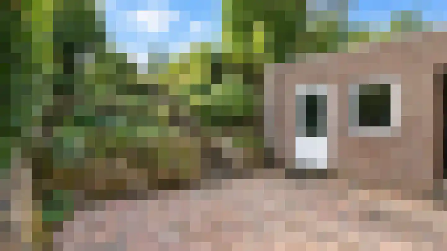 Schaesbergerweg 32 Heerlen thumbnail 45